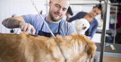 The mobile salon was founded by Lauren Warshaw, a certified professional groomer. . Best groomer near me